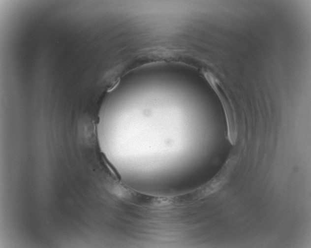 X0000067330624200604071327