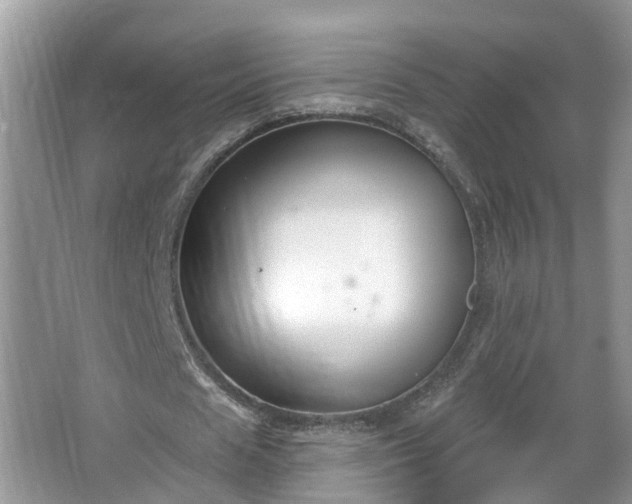 X0000067330625200604071326