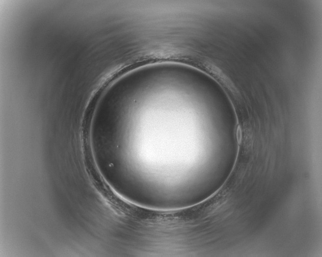 X0000067330626200604071326