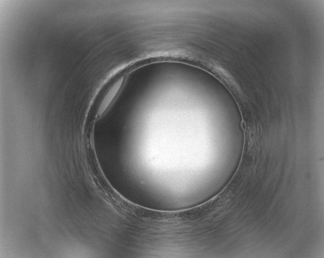 X0000067330628200604071326