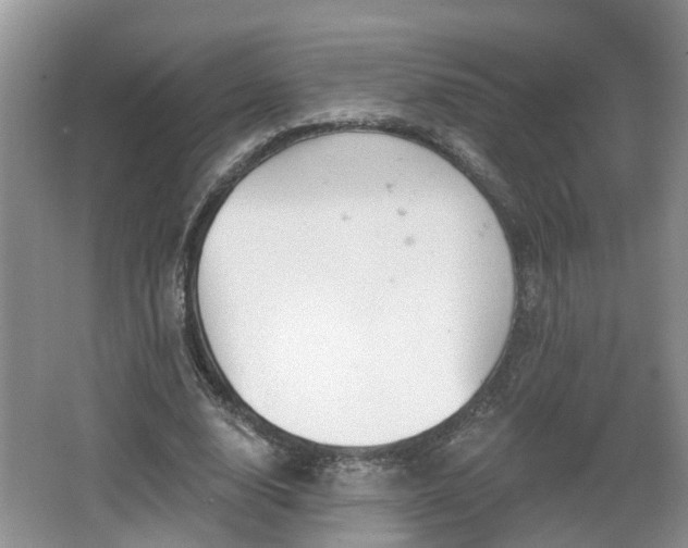 X0000067330632200604071326