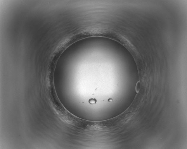 X0000067330635200604071326