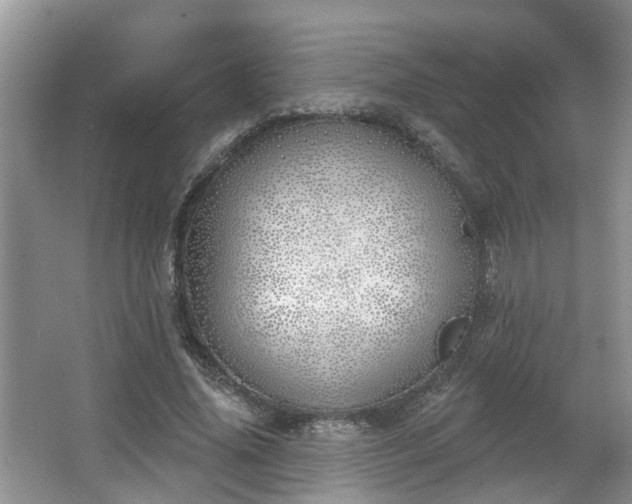 X0000067330636200604071326