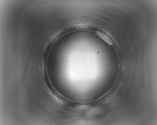 X0000067330637200604071326