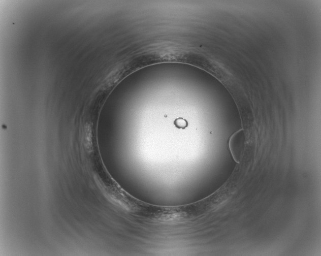 X0000067330646200604071326