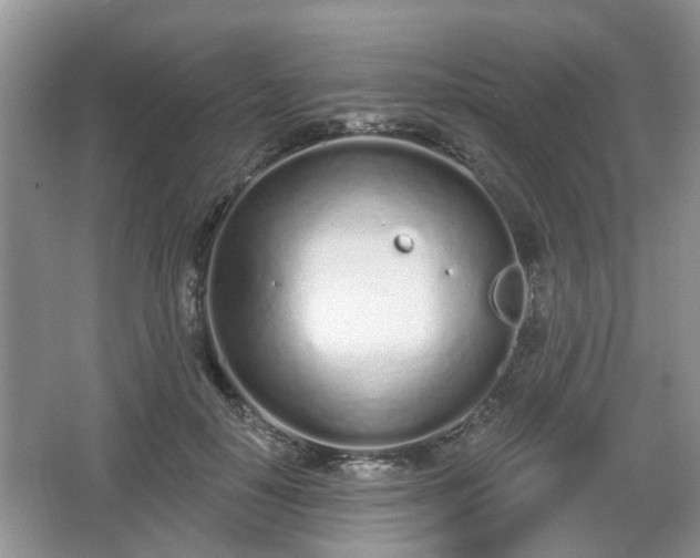 X0000067330650200604071326