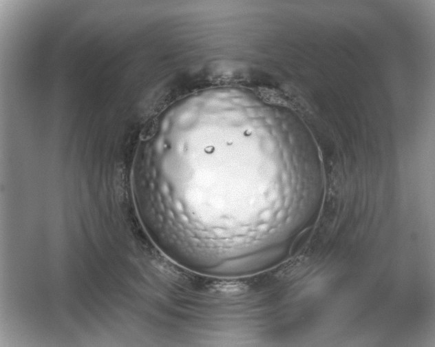 X0000067330659200604071326