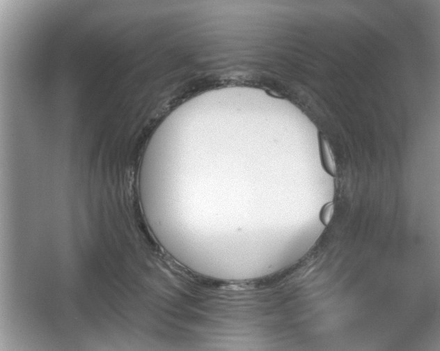 X0000067330660200604071326