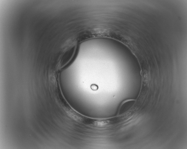 X0000067330662200604071327