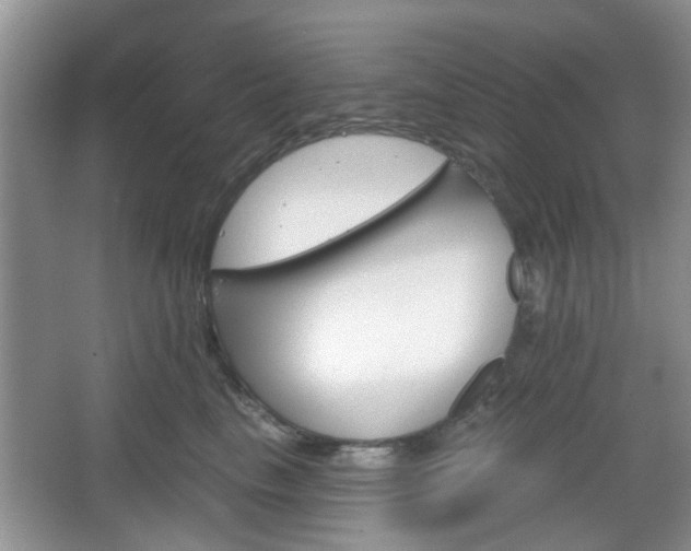 X0000067330665200604071327