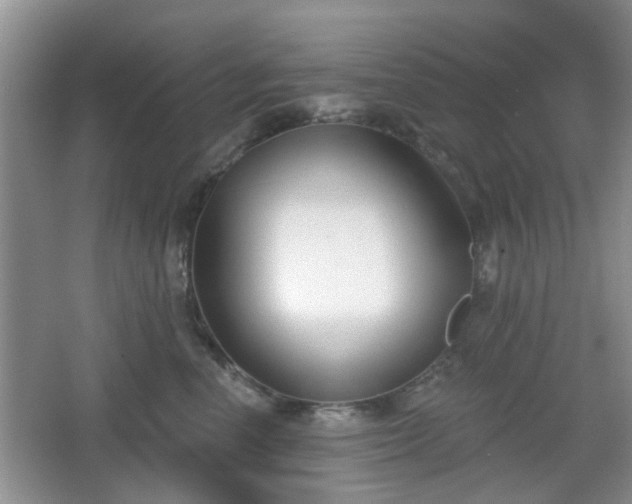 X0000067330666200604071327