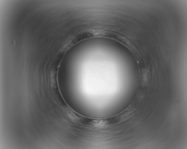 X0000067330667200604071327