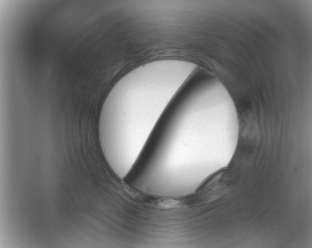 X0000067330669200604071327