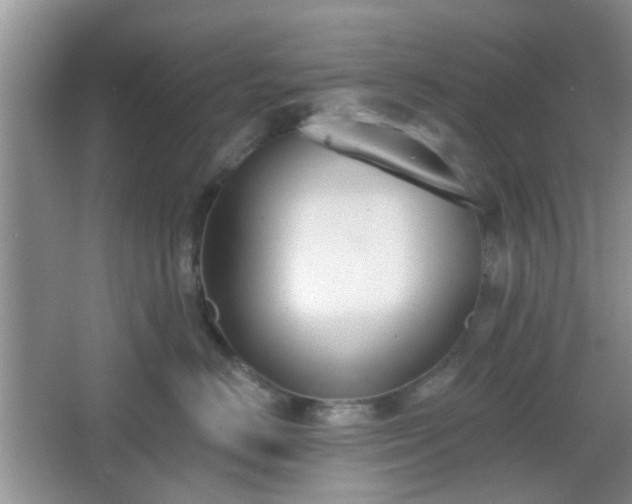 X0000067330670200604071327