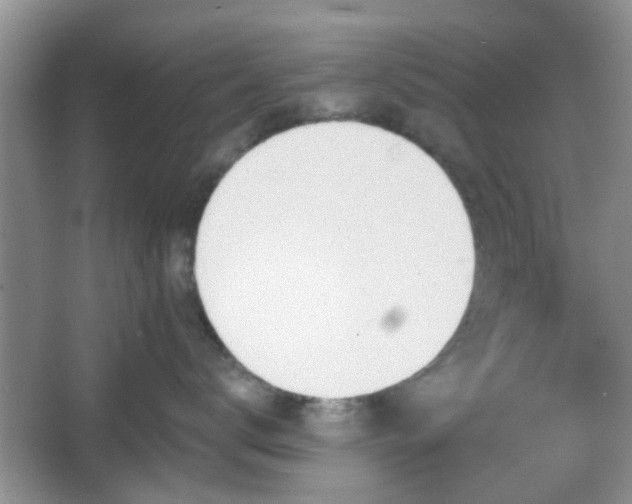 X0000067330672200604071327