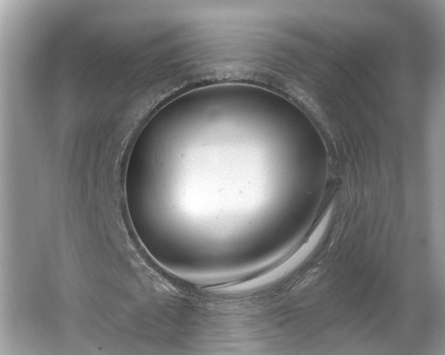 X0000067330673200604071326