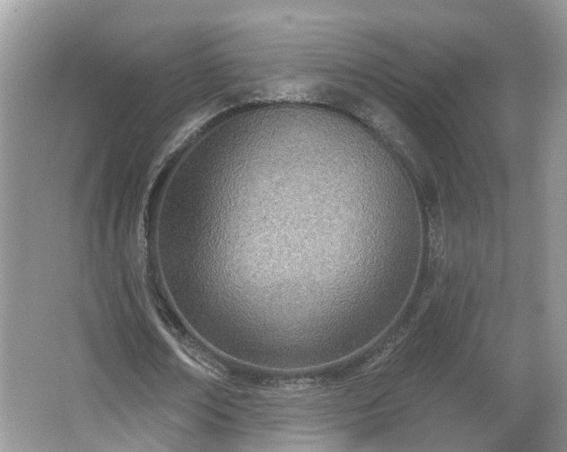 X0000067330674200604071326