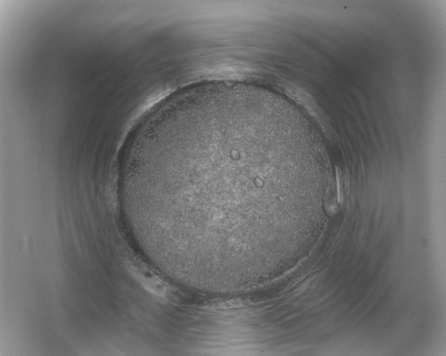 X0000067330675200604071326