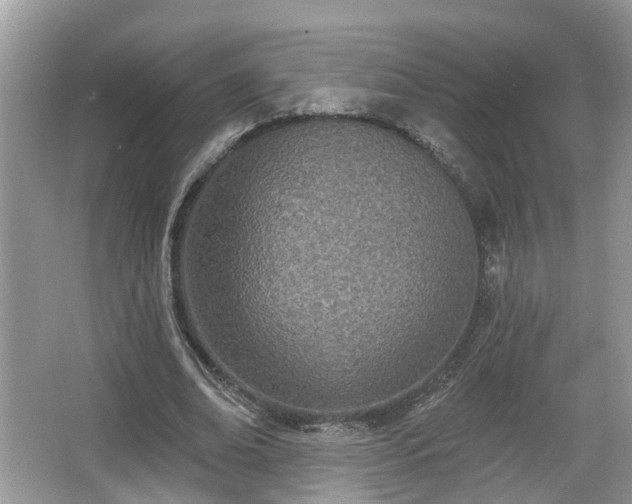 X0000067330678200604071326