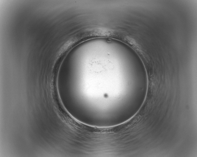 X0000067330679200604071326