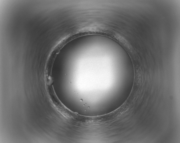 X0000067330680200604071326