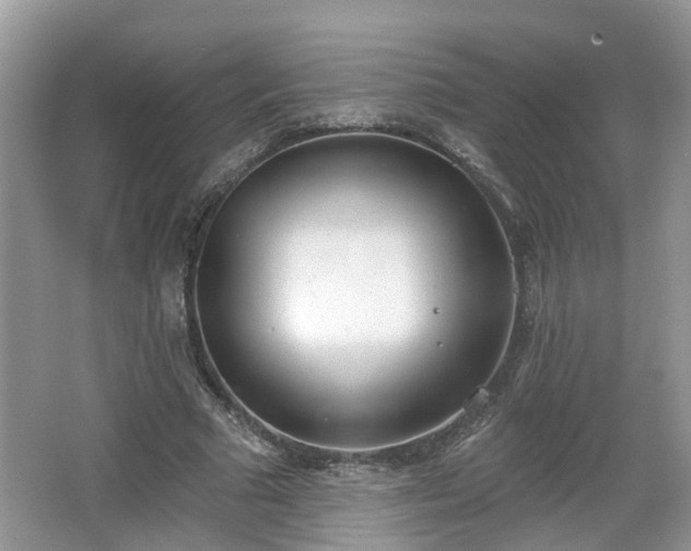 X0000067330681200604071326