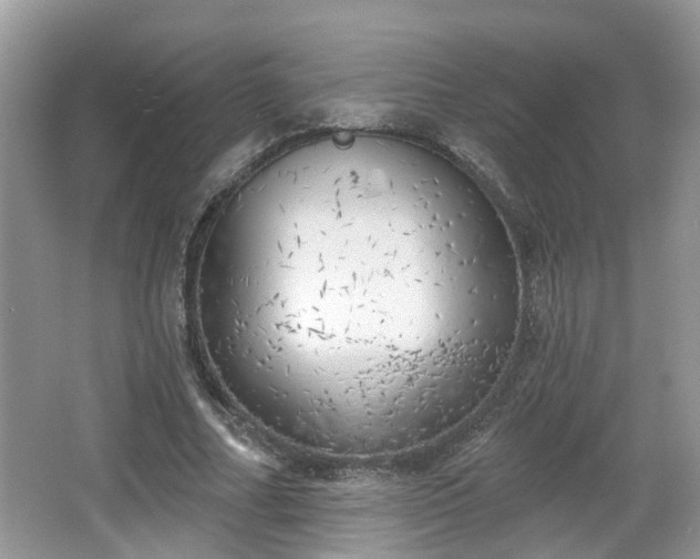 X0000067330682200604071326