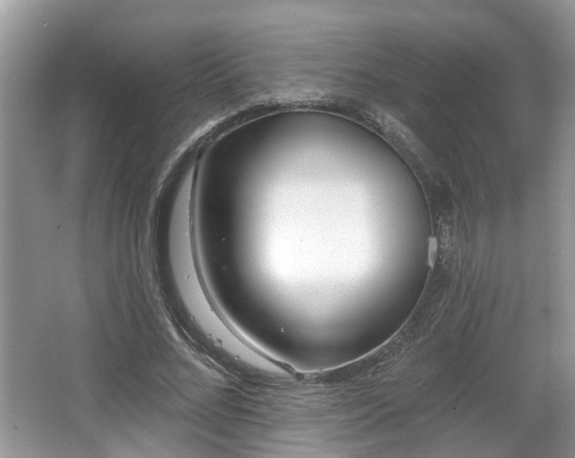 X0000067330684200604071326