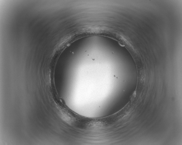 X0000067330685200604071326