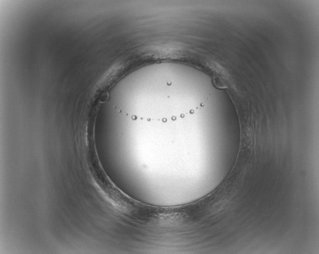 X0000067330686200604071326