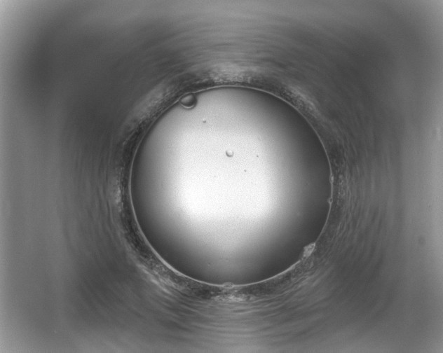 X0000067330687200604071326