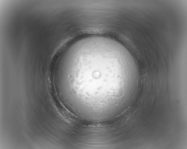 X0000067330688200604071326