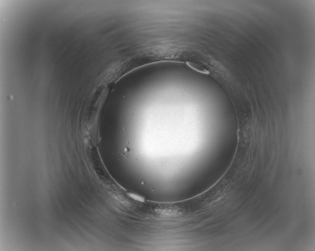 X0000067330693200604071326