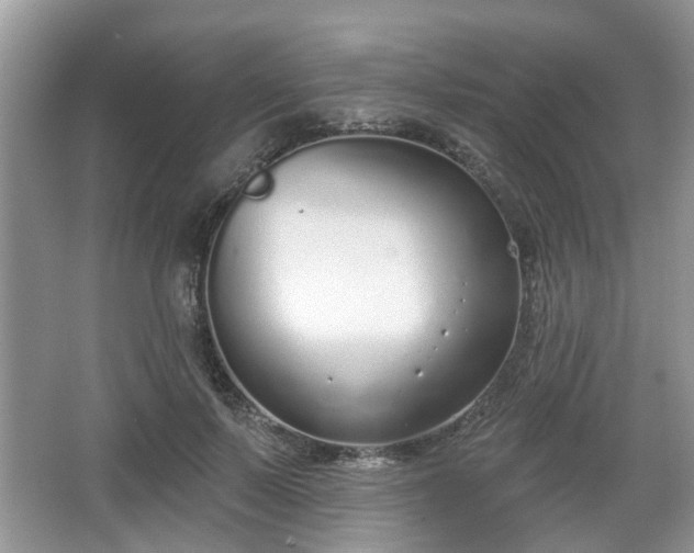 X0000067330695200604071326