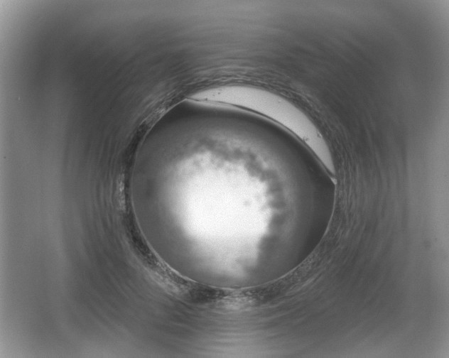 X0000067330696200604071325