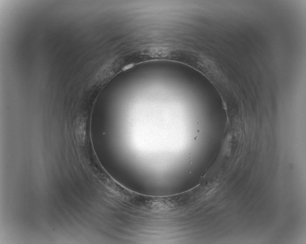 X0000067330697200604071325