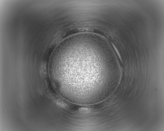 X0000067330699200604071325