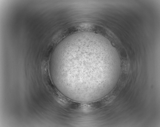 X0000067330701200604071325