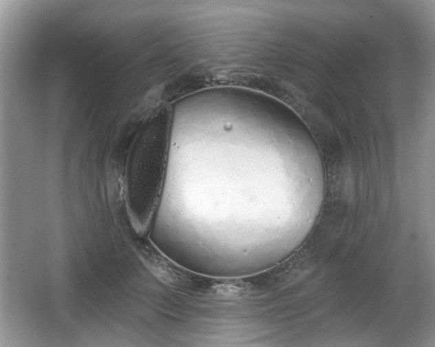 X0000067330703200604071325