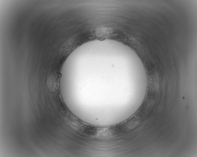 X0000067330705200604071325