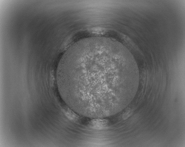 X0000067330707200604071325