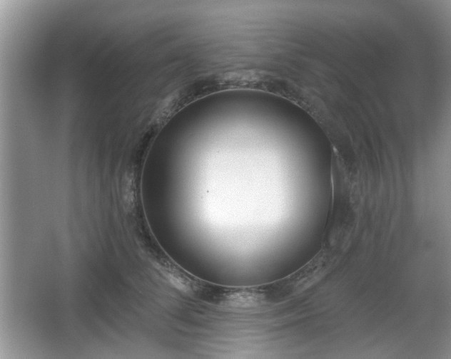 X0000067330708200604071325