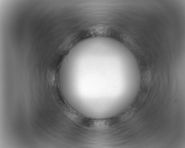 X0000067330709200604071325