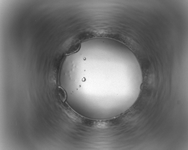 X0000067330710200604071325