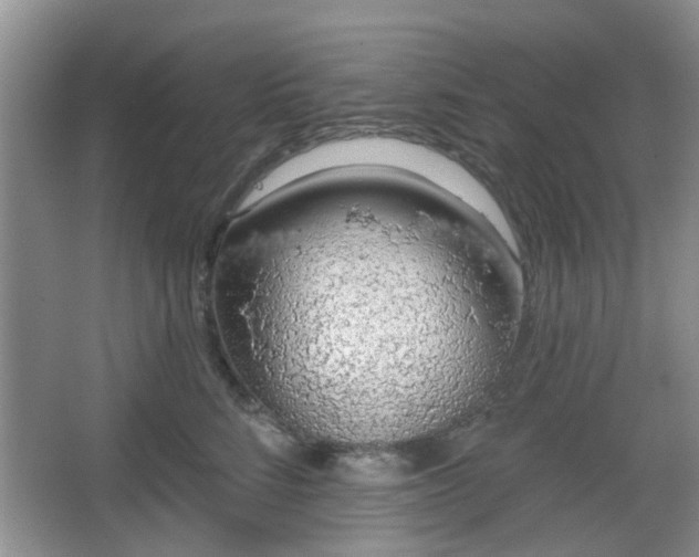 X0000067330712200604071325