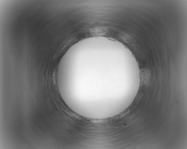 X0000067330713200604071325