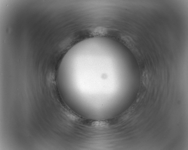 X0000067330714200604071325