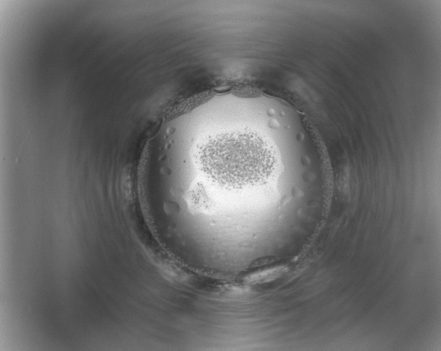 X0000067330715200604071325