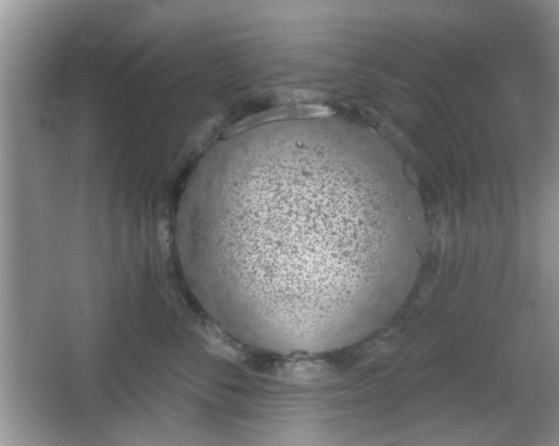 X0000067330716200604071325