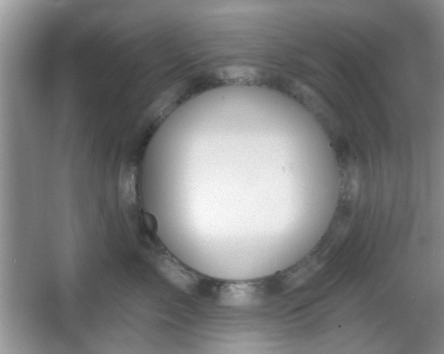 X0000067330717200604071325